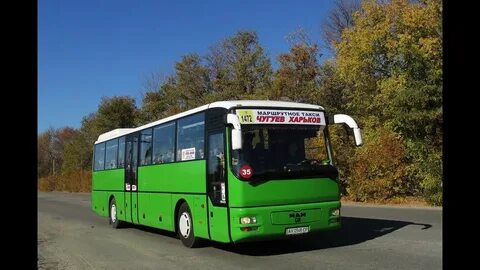 Автобусы абрамова