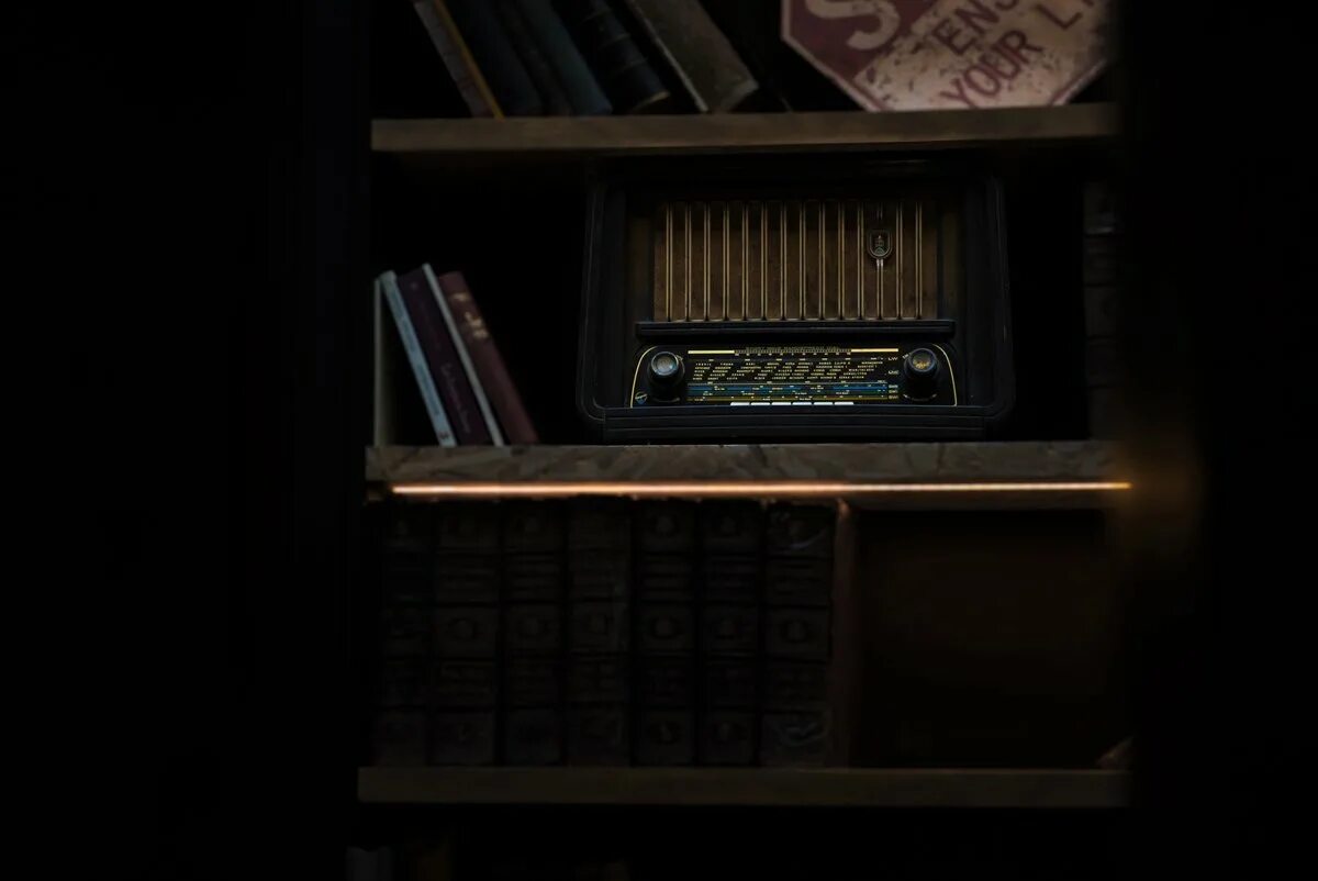 Темная комната книга. Полка с книгами и радиоприёмником. Полка для радио. Радио на полке. Полочка по радио.