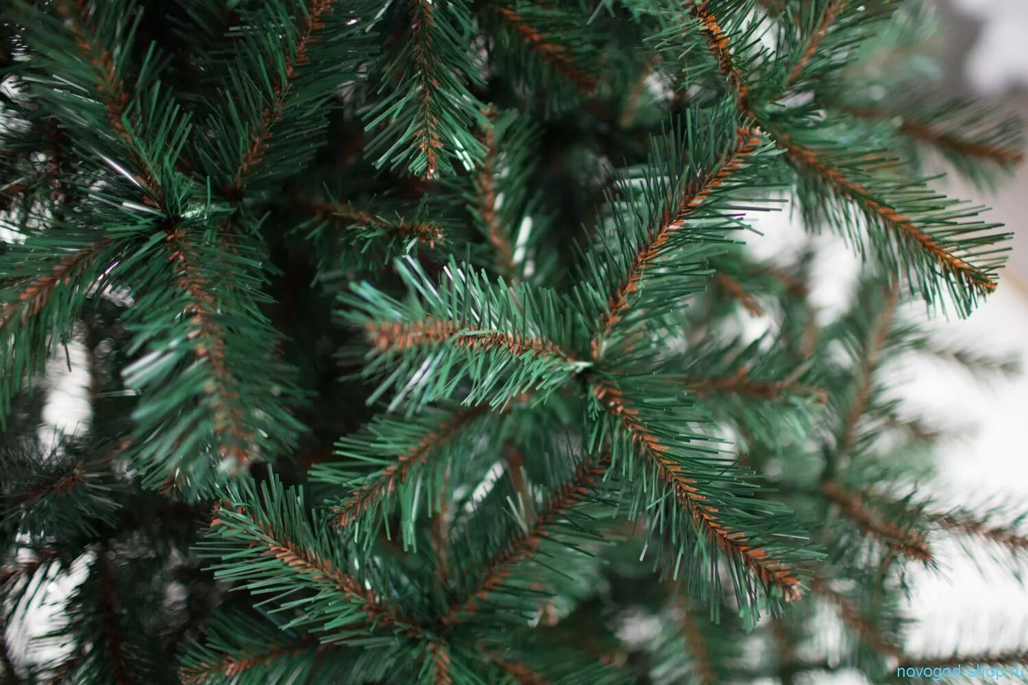 Зеленый цвет ели. Green Trees ель Королева леса 1.2. Ель "Королева леса" Классик. Green Trees ель Таежная 0.9. Ель "Королева леса" 1,5 м.