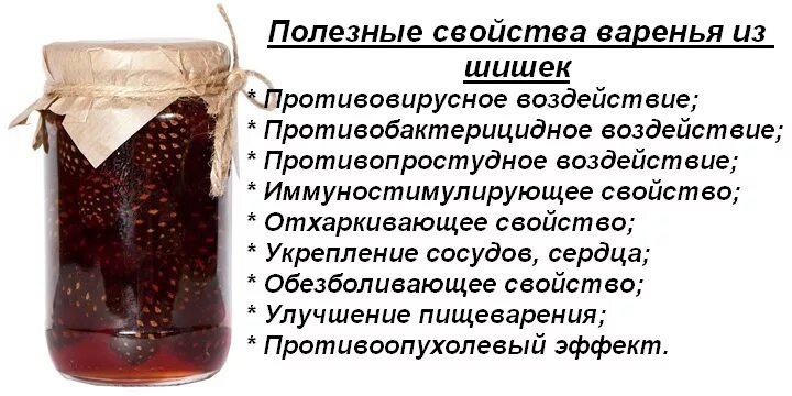 Полезные свойства соснового варенья