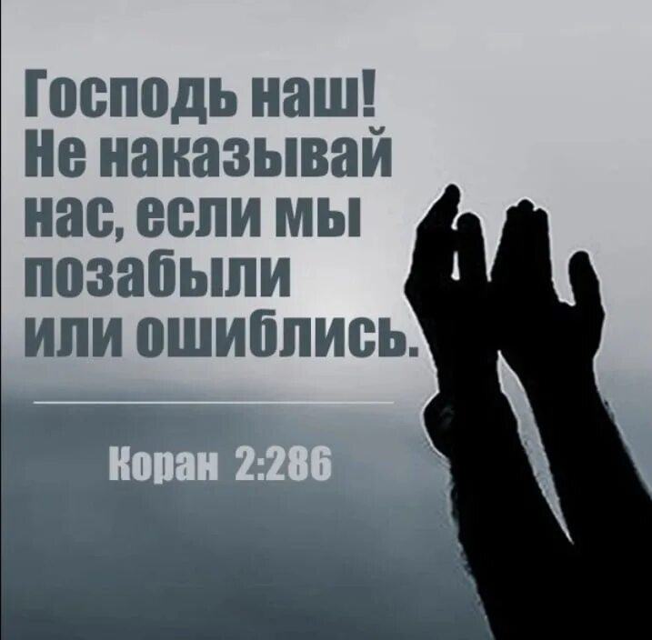 Мы позабыли наш теплый. Статусы из Корана. Господь наш не наказывай нас если мы позабыли или ошиблись. Господь наш прости нас если позабыли.