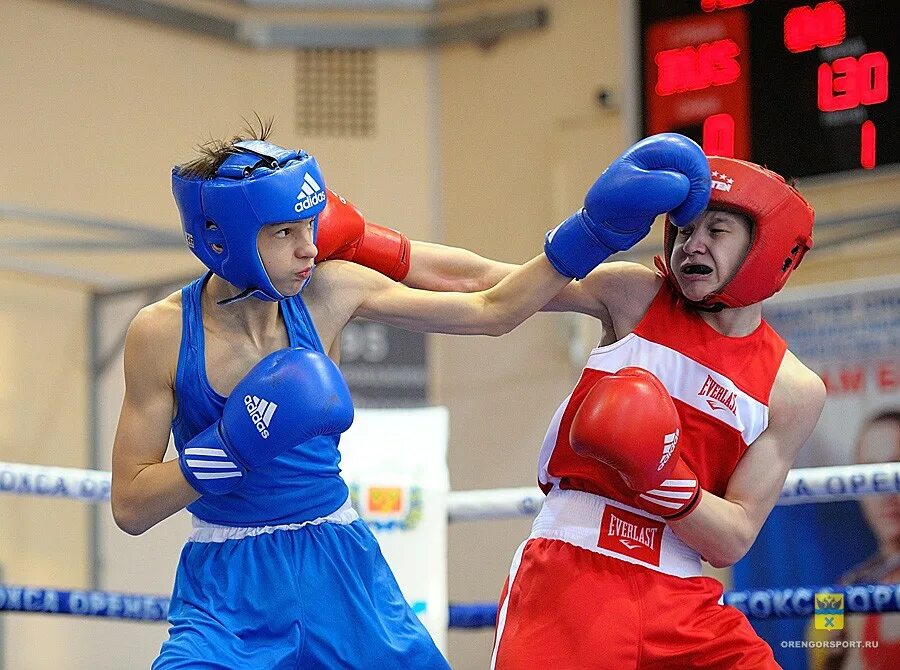 Соревнования по боксу. Первенство по боксу. Чемпионат по боксу 25 февраля. Бокс среди молодежи. Результаты турнира по боксу