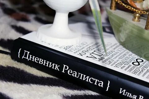 Дневник реалиста читать