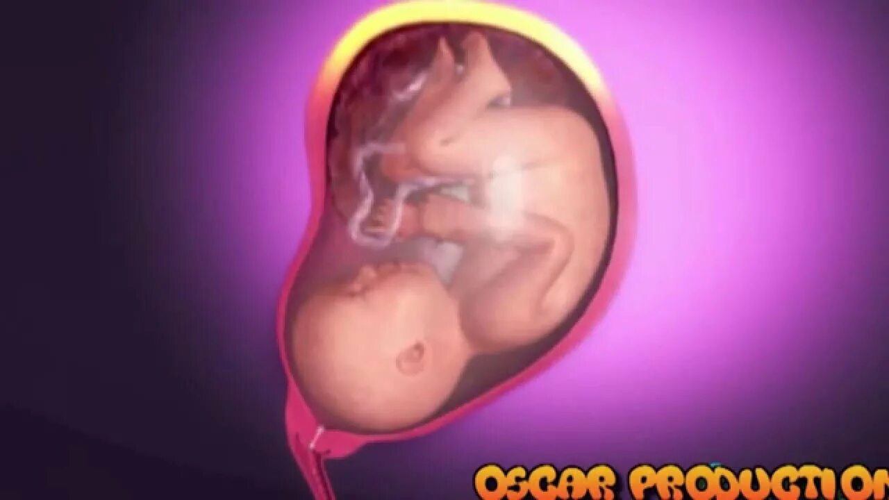 Последняя неделя беременности