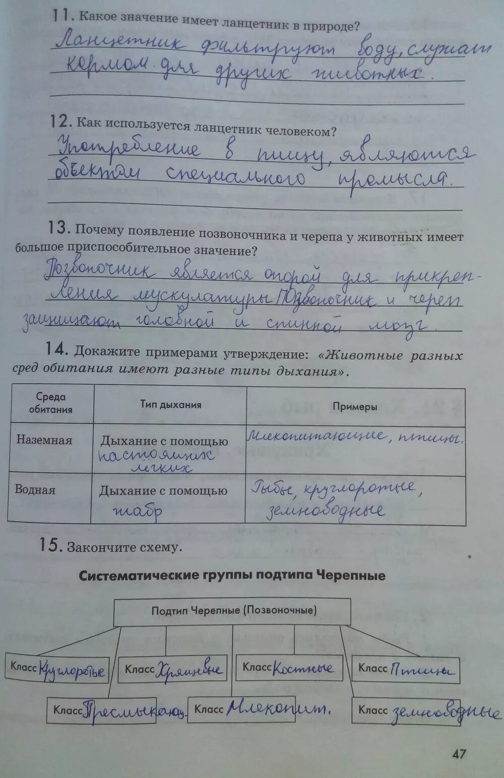 Биология 7 класс латюшин конспекты параграфов. Таблицы по биологии 7 класс латюшин. в. в. латюшин, е. а. ламехова биология. животные 7 класс рабочая тетрадь. гдз биология 7 класс таблица. биология 7 класс рабочая тетрадь латюшин гдз.