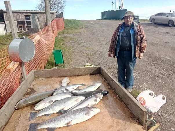 Юсупово рыбалка. Платный пруд в Юсупово Домодедовский район. Рыболовный клуб Юсупово. Рыбалка в Юсупово Домодедовский район. Добрый клев юсупово