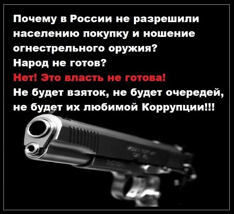 Мне можно доверить оружие. Разрешенное оружие в России. Страны в которых разрешено ношение огнестрельного оружия. Почему в России запрещено оружие.