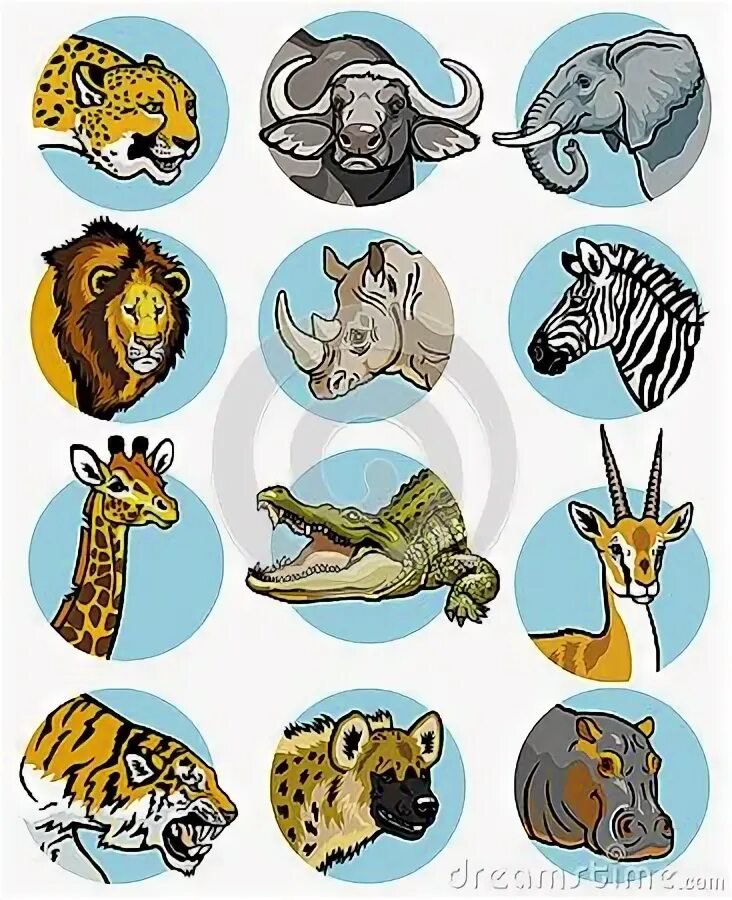 Животные в кружочках картинки Wild Animals on Round Badges Stock Vector Illustration of background, clip: 10