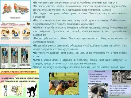 Кормить чужих детей