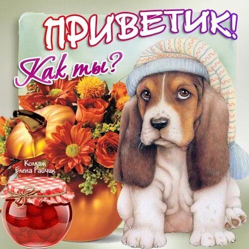 Добрый день девушке. Открытки со словом приветик. Открытки приветик от меня. Привет картинки красивые. Красивое приветствие в картинках.
