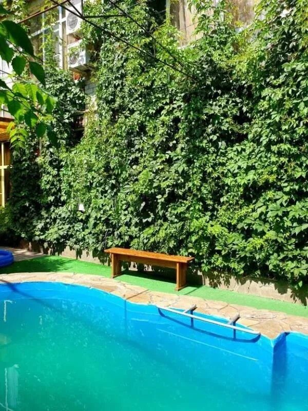 гостевой дом аркона анапа. гостиница аркона анапа. анапа крепостная 43. гостиница аркона анапа. аркона анапа.