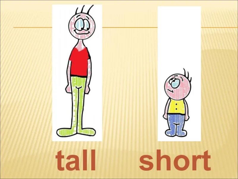 Tall short fat thin