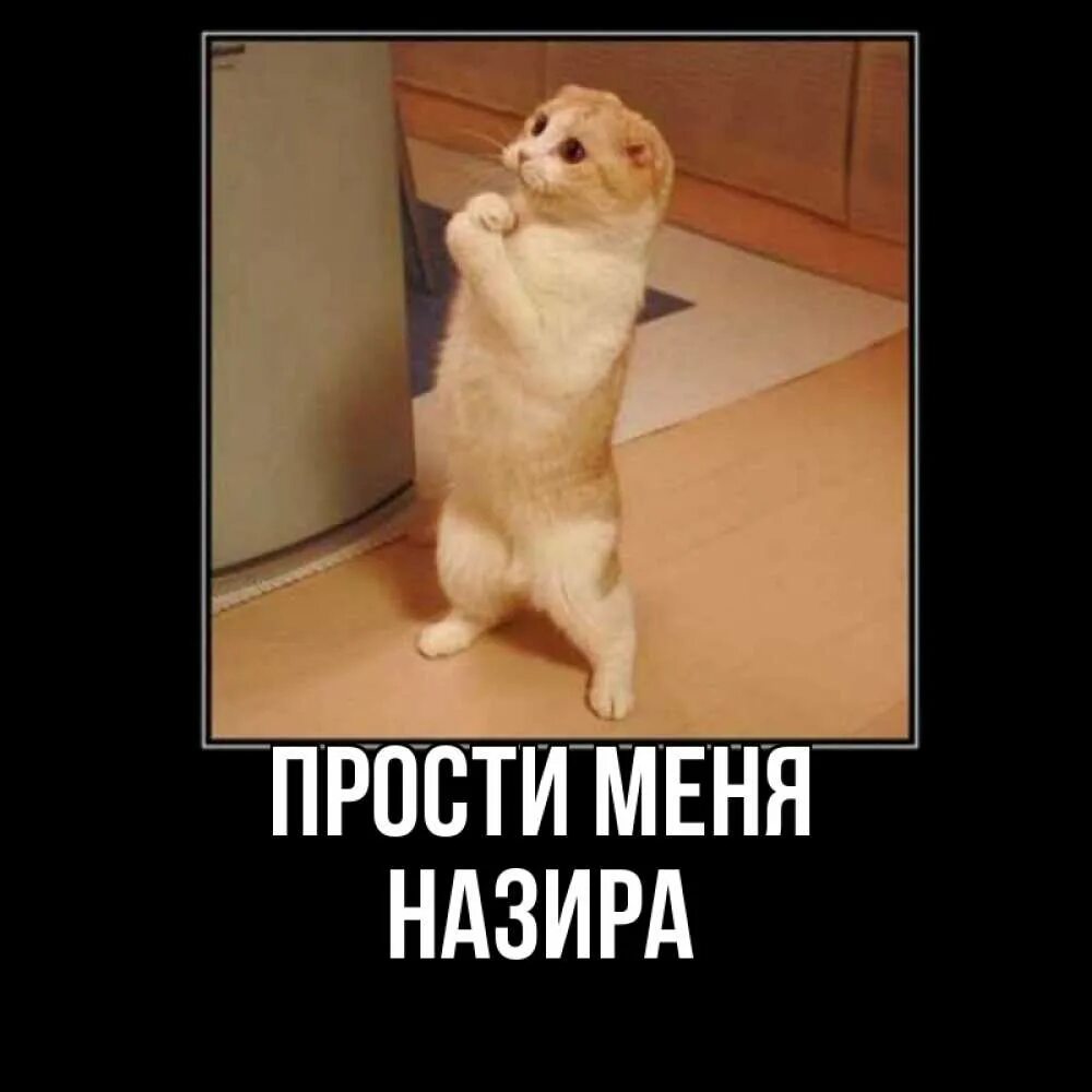 Про прости. Прости меня кирилл. амина прости. амина прости меня. открытка прости мария.