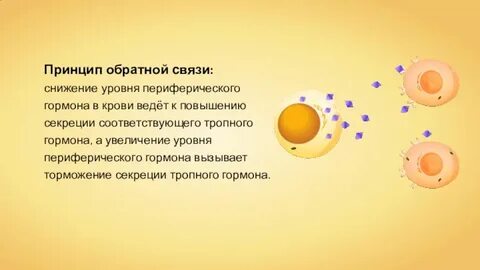 Гормоны плюс
