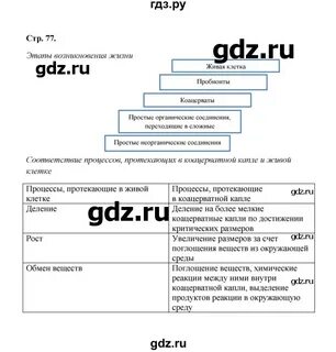 Биология 9 бодрова