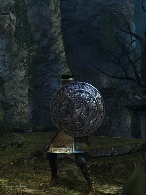 Лучший щит дарк соулс. Травяной щит dark souls 3. щиты дарк соулс 3. щит дарк соулс. башенный щит dark souls.