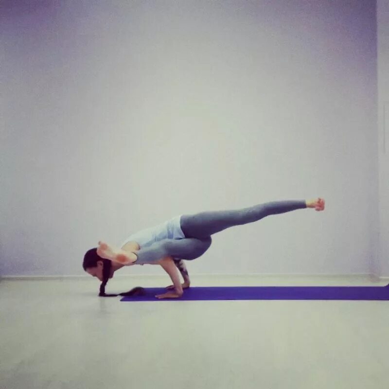 эка пада каундиниасана. эка пада каундиниасана 2. эко пада каундиниасана. эка пада каундиниасана 2. паривритта каундиниасана.