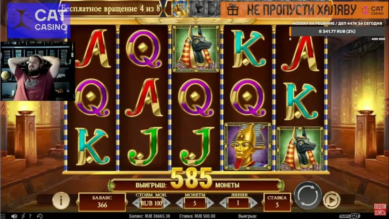 Cat казино. Слоты Кэт казино. Заносы в Кэт казино. Casino cat cat kasino official org ru