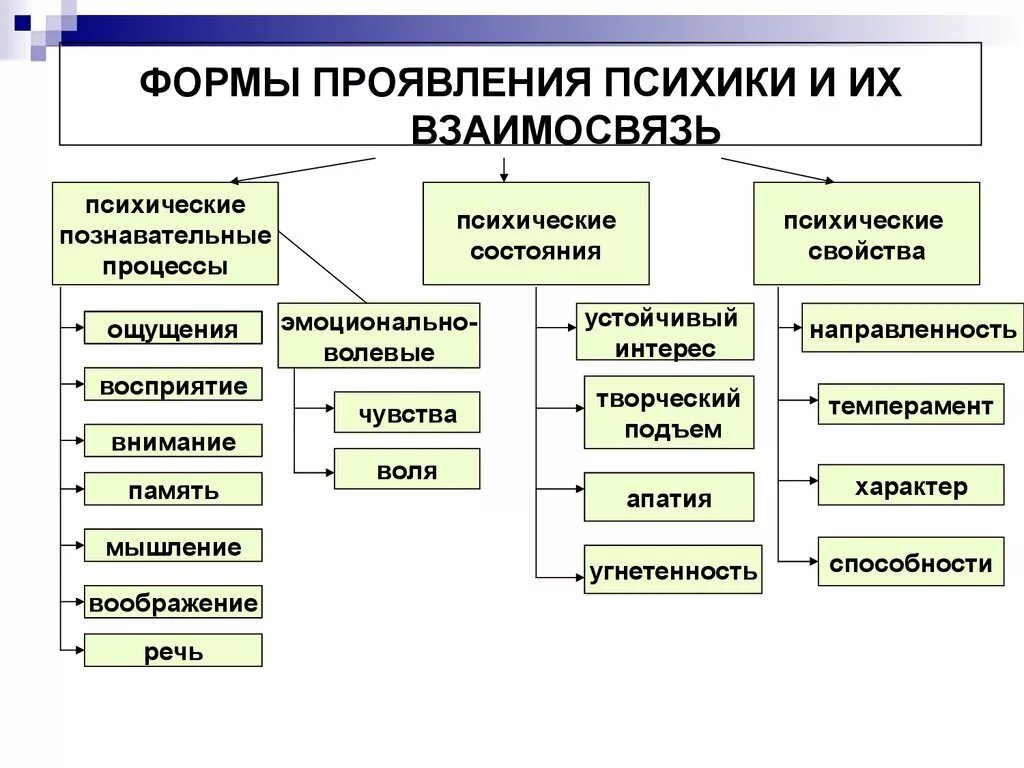 Формы проявления психики и их взаимосвязь. Формы проявления психики . Психические процессы свойства состояния. Основные формы проявления психики и их взаимосвязь схема. Основные свойства проявления психики и их взаимосвязь. Составляющие психического состояния