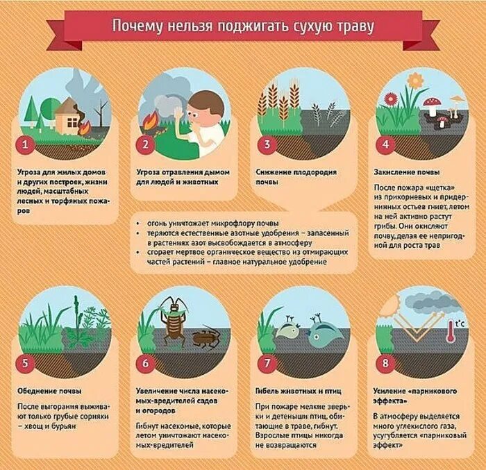 Посему нельзя. Палы травы памятка. Памятка для детей пал травы. Памятка не жгите сухую траву. Почему нельзя жечь траву весной.