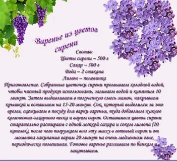 Значение сирени на языке цветов