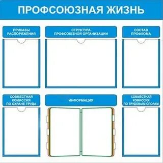 Профсоюзная жизнь в организации