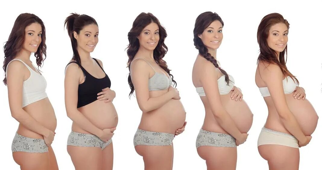 Беременные женщины по месяцам. Живот растет. Рост живота.