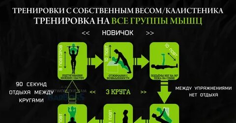 С чего начать калистенику