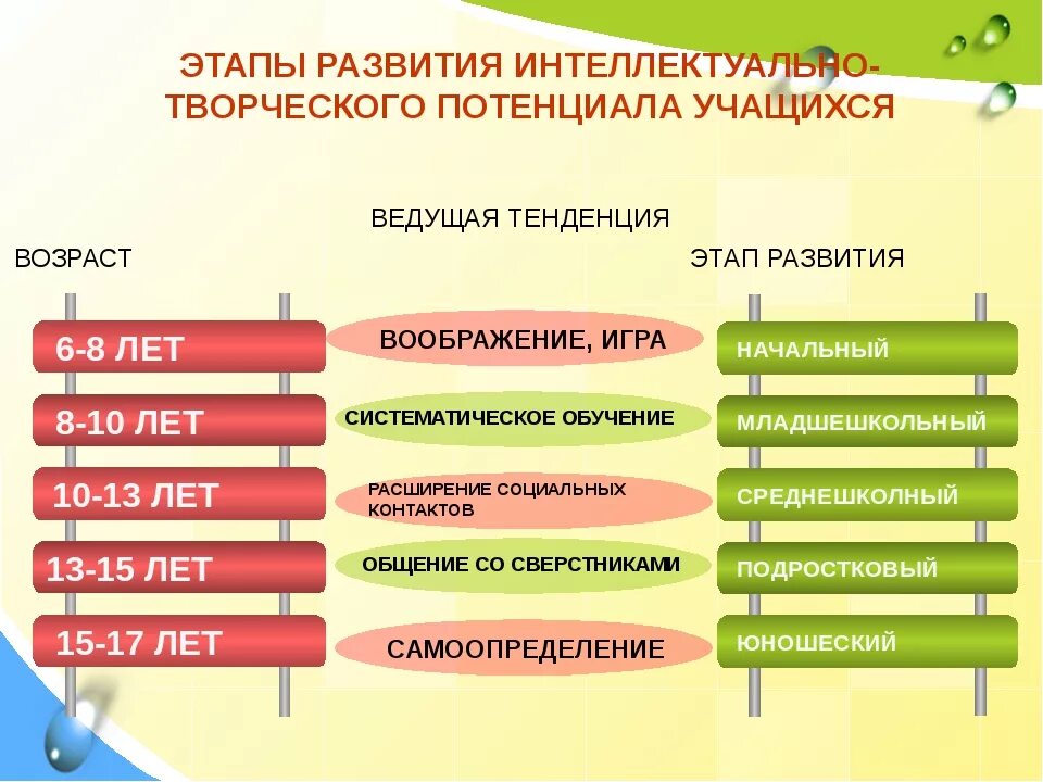 Стадии умственного развития. Этапы формирования интеллекта. Развитие творческого потенциала личности. Ступени эволюции интеллекта. Стадии интеллектуального развития детей