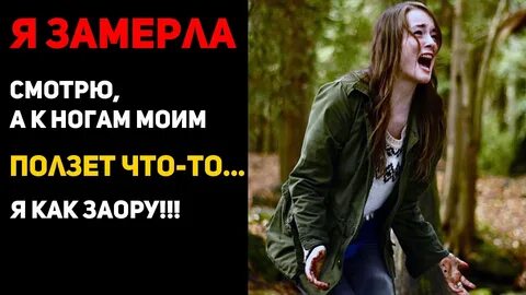 Стою смотрю и замираю