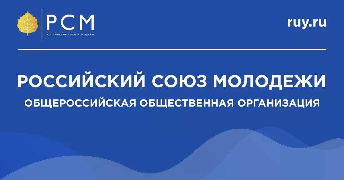 Всероссийский союз общественных организаций. Российский Союз молодежи Общероссийская общественная организация. РСМ российский Союз молодежи. Структура РСМ. Российский моюзимолодежи.