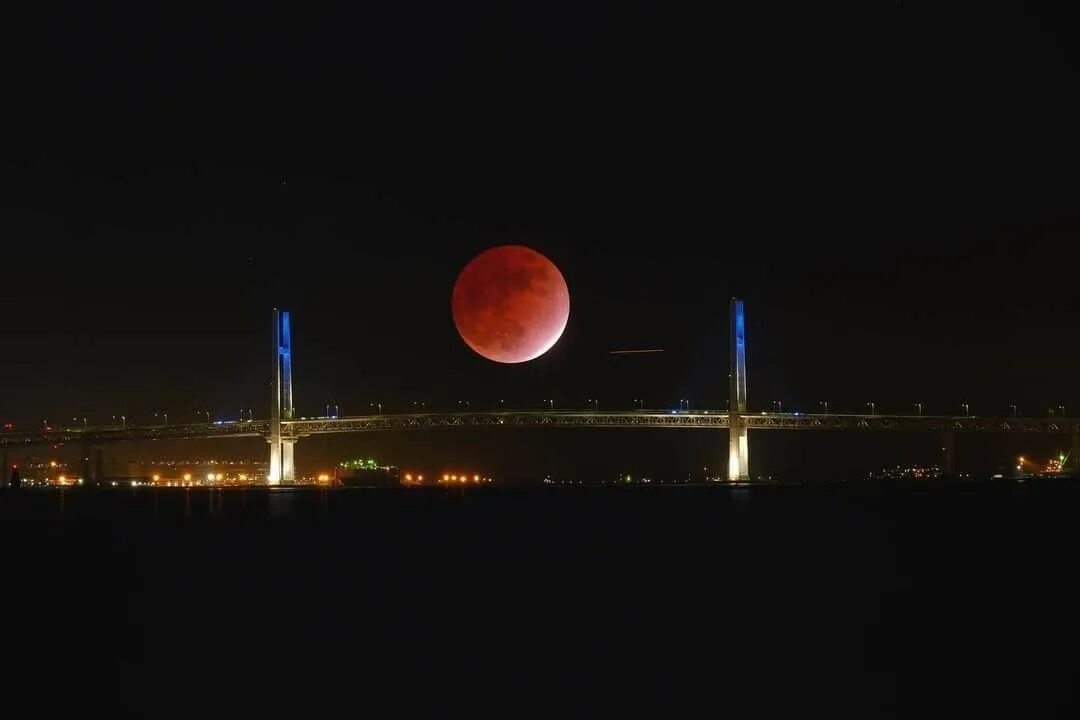 Затмение по московскому времени сегодня. Лунное затмение 19 ноября 2021. Лунное затмение на Дальнем востоке. Лунное затмение фото. Лунное затмение 28 сентября 2015 года.