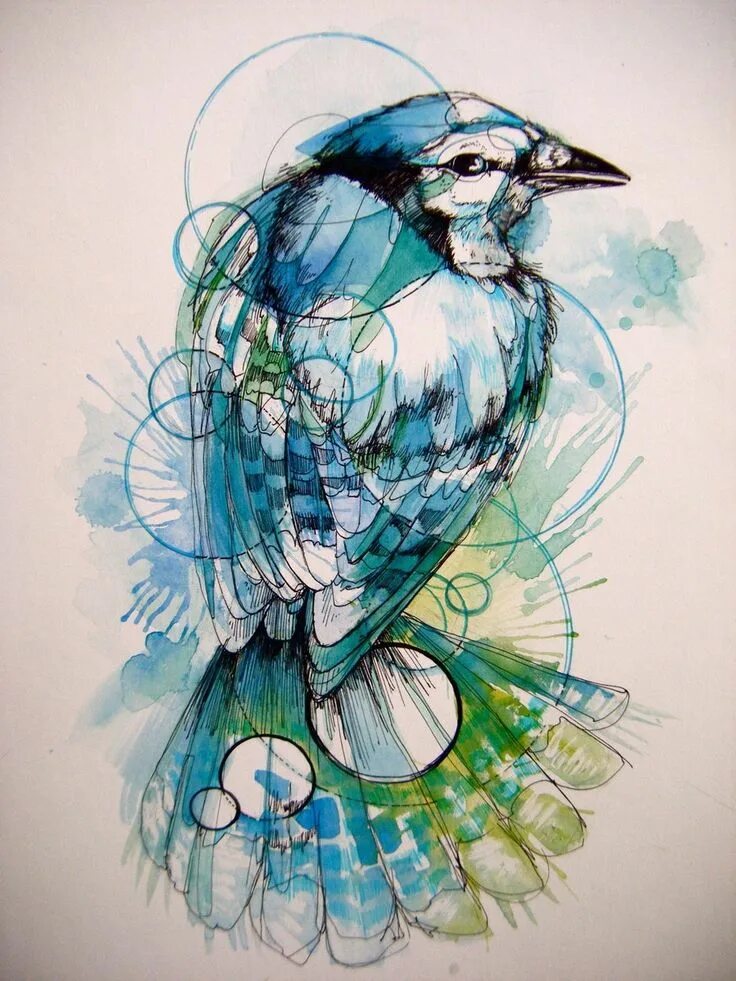 Bird art. Стилизованная птица. Цветная Графика. Птица арт. Птицы арты.