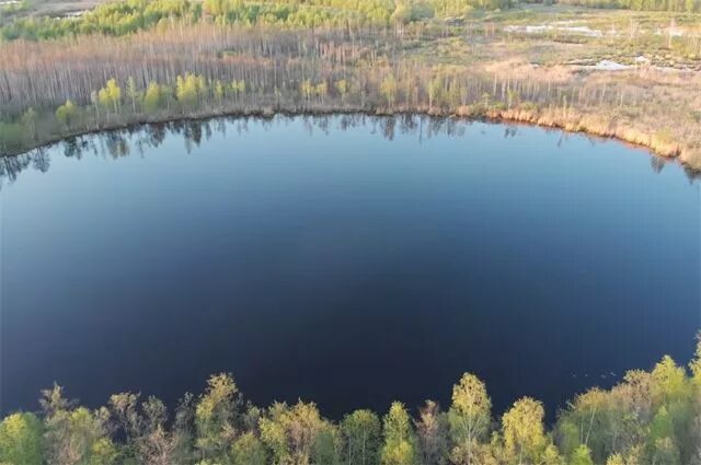 Озеро в Солнечногорске без дна. Озеро бездонное Солнечногорский. Бездонное озеро Вертлино. Бездонное озеро Солнечногорск глубина.