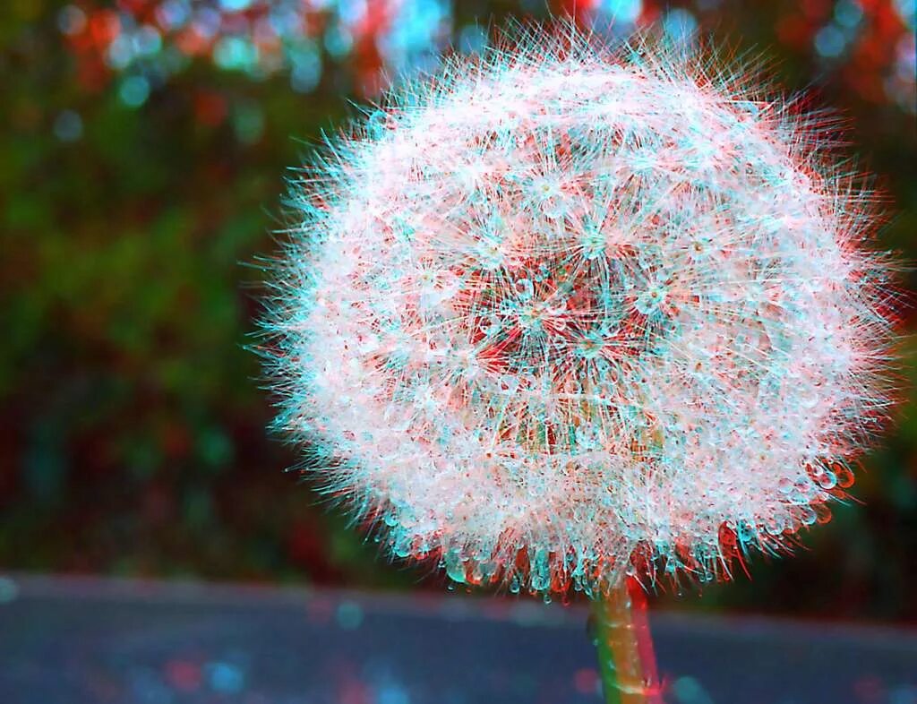 3d изображение для очков. жилой экодом в монпелье, франция. полевые цветы в лучах солнца. 3д изображение для очков. необыкнове 3 ые.