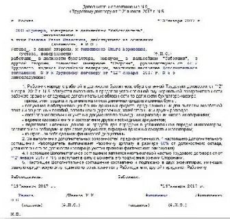 Директор бухгалтер договор