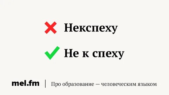 Не к спеху как правильно пишется. Как пишется слово некспеху. некспеху правильное написание слова. не к спеху правописание. не к спеху или некспеху.