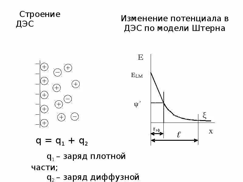 Двойственное строение 7. Двойственное строение 7