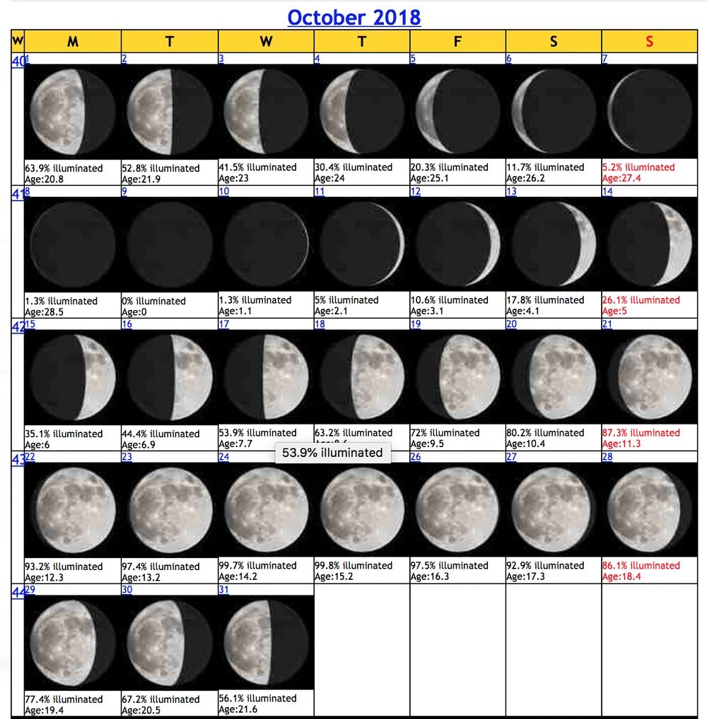 Lunar Calendar August 1479 (South Hemisphere) - Moon Phases