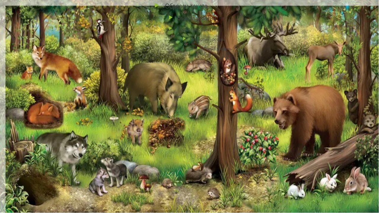 Дикие звери детям. Лес с дикими животными. Жители леса. Лесные жители. Лесные звери в лесу.
