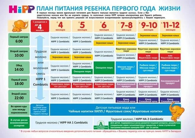 Что можно 8 месячному ребенку. Прикорм в 5 месяцев на искусственном вскармливании таблица. Схема начала прикорма с 6 месяцев. Таблица кормления детей 6 месяцев прикорм. Схема ввода прикорма при искусствен.