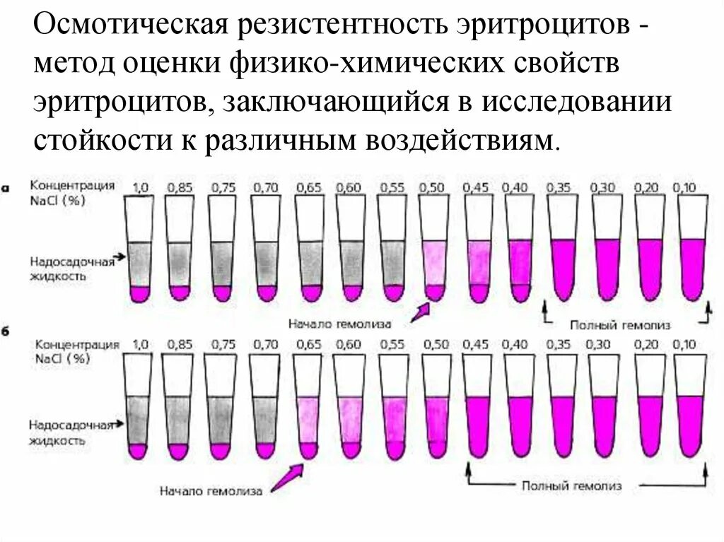 Резистентность крови. Осмотическая резистентность эритроцитов метод определения. Методика исследования осмотической стойкости эритроцитов. Норма осмотической стойкости эритроцитов. Метод исследования осмотической резистентности эритроцитов..