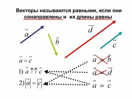 Какой вектор называется противоположным данным