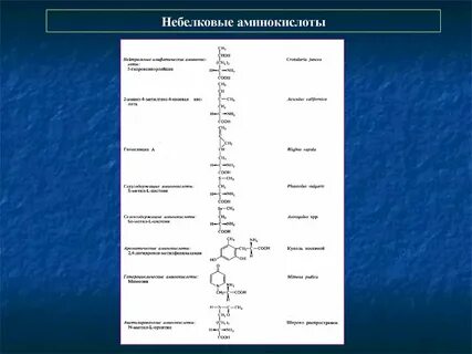 Вторичная аминокислота