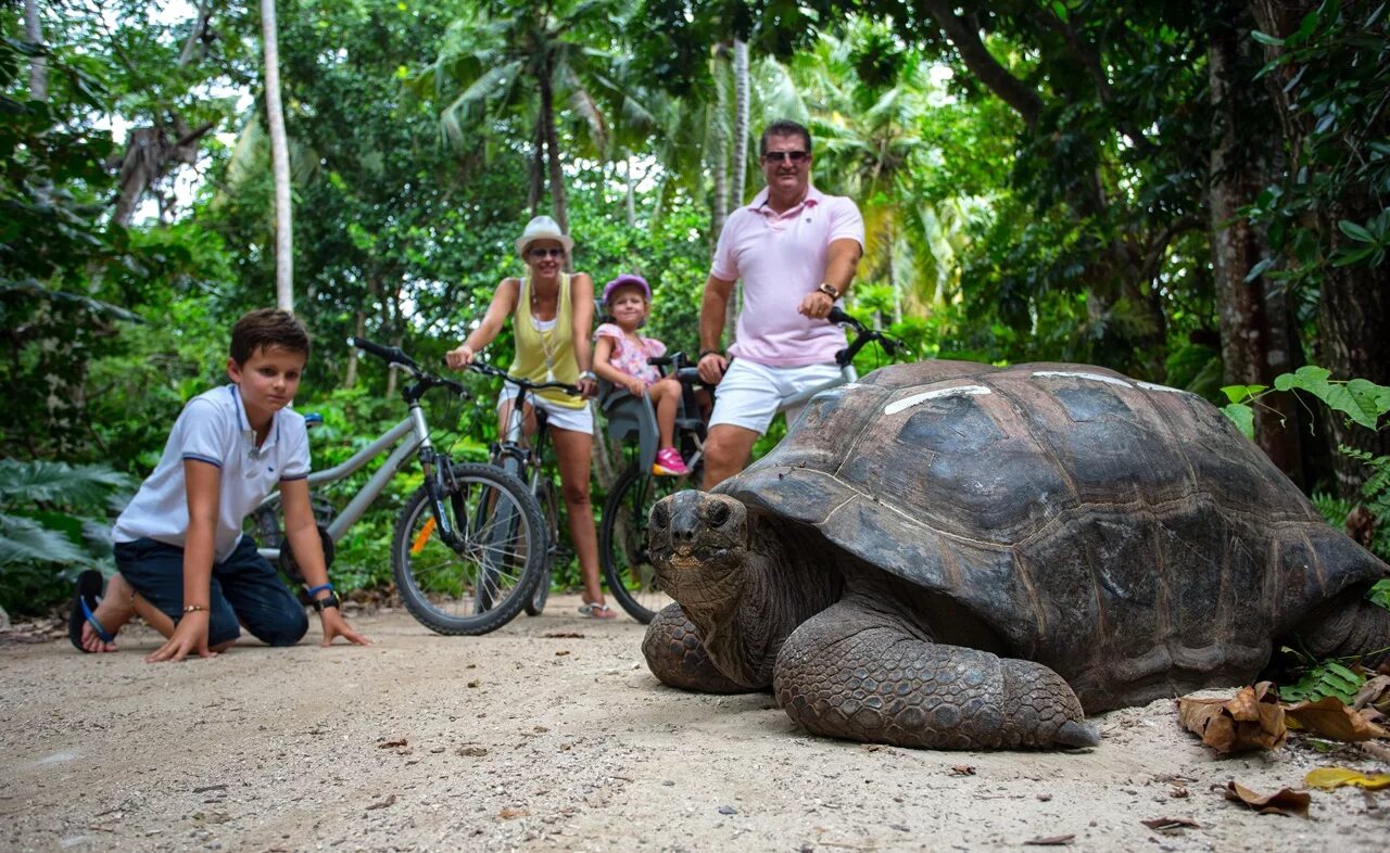 Turtle island