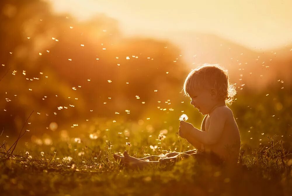 Детская солнечный. Светлана Квашина фотограф. Луч солнца для детей. Дети солнца. Солнце дети счастье.