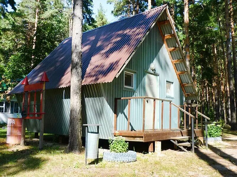 медвежья берлога воронеж. медвежье турбаза. турбаза три медведя сямозеро. медвежье турбаза. турбаза петровка грязинский.