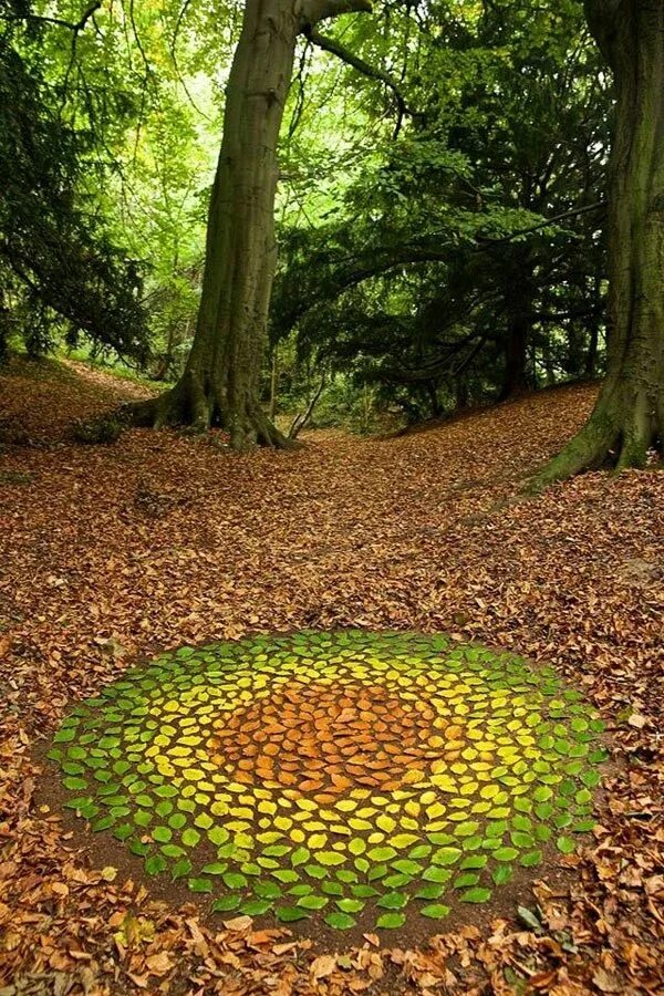Natural objects