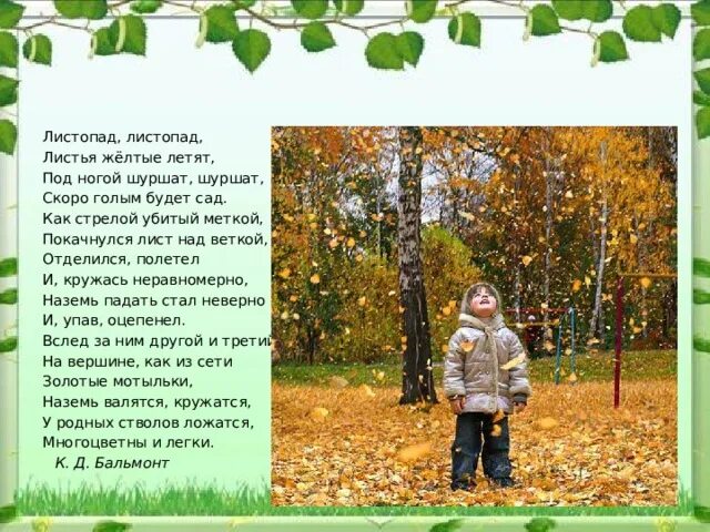 Листопад листопад листья желтые летят. Листопад листопад листья желтые летят под ногой шуршат шуршат. листопад-листопад автор. листопад стих детский.