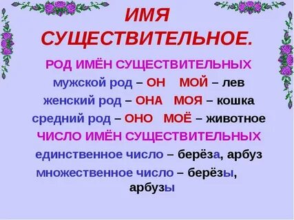 Леса род число